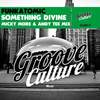 Something Divine (Micky More & Andy Tee Mix) - Funkatomic