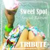 Sweet Spot Instrumental - The Dream Team