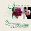 Beautiful In My Eyes (Album Version) - Joshua Kadison