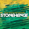 Stonehenge (Extended Mix) - Nick Skitz&Ste Ingham