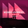 You Are Not Alone - WildVibes&Patrick Key&David Shane