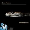 Black Mamba (Original Mix) - Carlos Francisco
