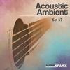 Acoustic Feelgood - Daniel Carrizalez