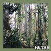 Hutan(feat. MorningMaxwell) - Lepas&MorningMaxwell