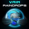 Raindrops (Original Mix) - Vaim