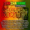 Shasha in Your City - Eek-A-Mouse