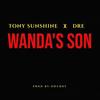 Wanda's Son(feat. Dre) (Explicit) - TONY SUNSHINE&Dre