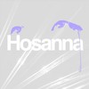 Hosanna (feat. Do-Hurn Park) - Louis Martini&