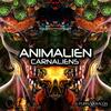 Space Babas (Original Mix) - Animalien&Critter