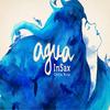 Fluir(feat. Debi Nova) - Insax&Debi Nova