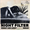 Night Filter (Vocal Dub) - Benoit (IT)&LENny (IT)