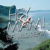 Hey Mami (Big Wild Remix) - Sylvan Esso&Big Wild