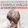 Allá en el Rancho Grande - Mariachi Campero