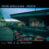 Roskiin(feat. Are & DJ Massimo) - Tapani Kansalainen&Are&DJ Massimo