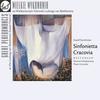 I. Allegro moderato - Rudolf Buchbinder&Sinfonietta Cracovia