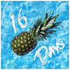 16 Days - Offline