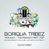 Roxana (Almir Ljusa Remix) - Boriqua Tribez