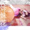 姊妹花 - 雷深如