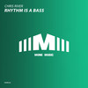 Rhythm Is A Bass (Original Mix) - Chris River