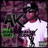 Birds Eye View (Instrumental) - AK