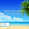 Shaken Not Stirred - Catch the Groove&Nils&Oliver C Brown&Darryl Williams