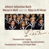 Qui tollis peccata mundi - Georg Christoph Biller&Leipziger Barockorchester&Johann Sebastian Bach&Ute Selbig&Martin Petzold