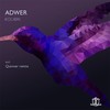 Kolibri - Adwer