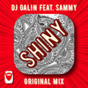 Shiny - Dj Galin&Sammy