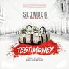 Testimony(feat. Mr Raw & Tj) - Slowdog&Mr Raw&TJ