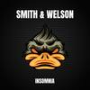 Insomnia (Dj Global Byte Mix) - Smith & Welson