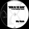 Born in the Dark (In the Shadows Remix) - Billy Walsh&RR&D.R