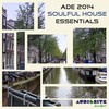 Jazzy Mood (Original Mix) - Domenico Albanese