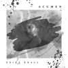 Acumen(David Ben-Gurion Rework) - Erika Krall