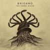 Milioneri protiv milijardera - Brigand