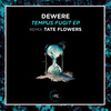 Tempus Fugit (Tate Flowers Remix) - Dewere