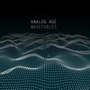 Wavetables (Radio edit) - Analog Age