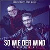 So wie der Wind (Cesareo Deejay Mix) - Dariusz Dress&Alex P.