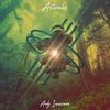 Asterales - Andy Immerman
