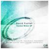 Sunlight (Julian Dep Remix) - David Podhel