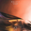 Blaze - Moiety