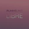 Pummeling Libre - Vincy Donae