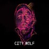 Face In The Dark - City Wolf&Panther