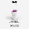 Sizzurp 2.0 (feat. Tony Shhnow) (Explicit) - GUN40&Tony Shhnow