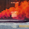 Happy Ever Now (feat. Brandon Chase) - Brandon Chase&22 Bullets