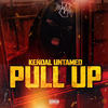 Pull Up (Explicit) - Kendal untamed