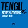 Slowly Breathing - Tengu&Pavv&Tz