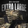 Bigger Picture(feat. Ygz Da Don) (Explicit) - Big Vaughn&Ygz Da Don