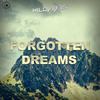 Forgotten Dreams - WildVibes