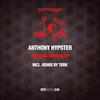 Bastard Groove (Original Mix) - Anthony Hypster