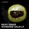 Orchard (Original Mix) - Ricky Ebner